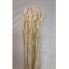 TARWE 24" BLEACHED-  CLOSE OUT !!!!!